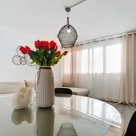 Center Free Parking Apartmán Troyes