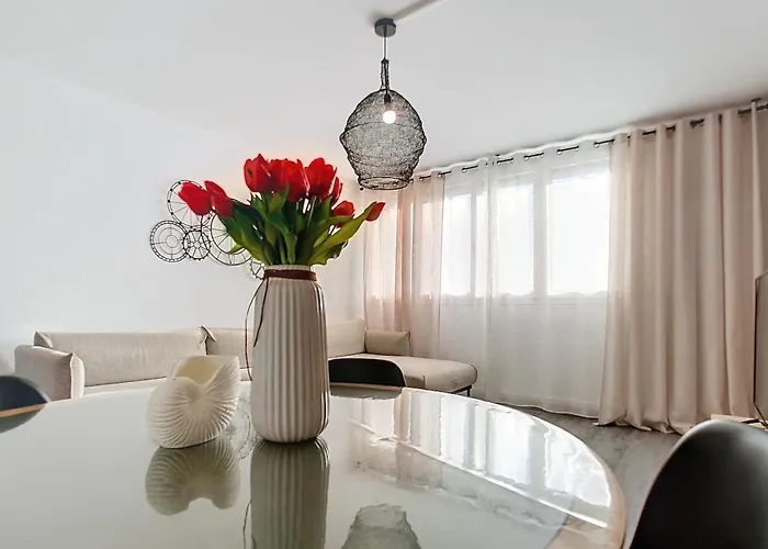 Center Free Parking Appartement Troyes